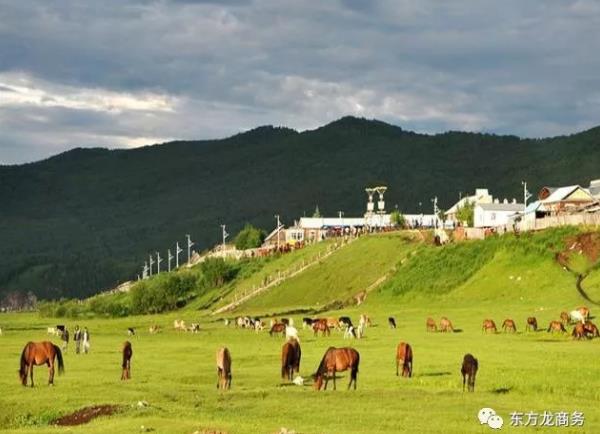 助力內(nèi)蒙古額爾古納市委托招商引資,推動產(chǎn)業(yè)轉(zhuǎn)型,著力構(gòu)建存量綠色化、增量高端化的產(chǎn)業(yè)發(fā)展新格局 助力內(nèi)蒙古額爾古納市委托招商引資,推動產(chǎn)業(yè)轉(zhuǎn)型,著力構(gòu)建存量綠色化、增量高端化的產(chǎn)業(yè)發(fā)展新格局