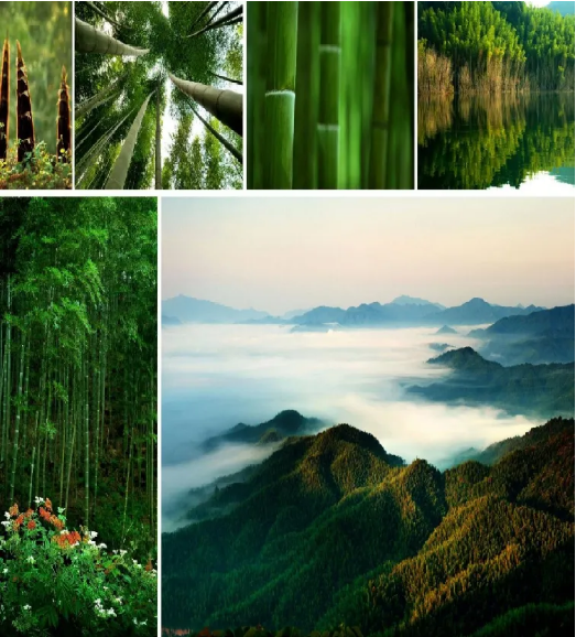 集團(tuán)全力助推江西撫州資溪縣委托招商引資，加速創(chuàng)建生態(tài)旅游強(qiáng)縣