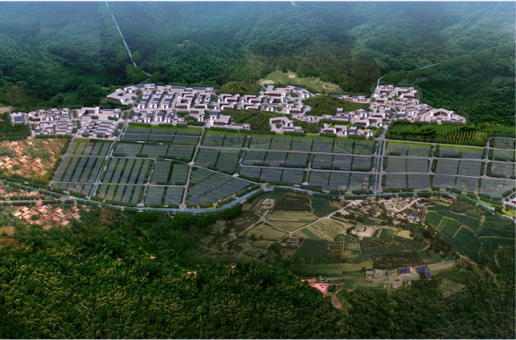 集團(tuán)全力助推福建寧德周寧縣委托招商引資，強(qiáng)化特色產(chǎn)業(yè)實力，為全縣高質(zhì)量發(fā)展增添新動力