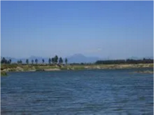東方龍商務(wù)集團(tuán)助力河北高邑縣委托招商引資，以“新經(jīng)濟(jì)”撬動“新引擎”