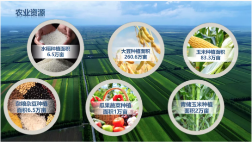 集團全力助推黑龍江齊齊哈爾拜泉縣委托招商引資，立足資源優(yōu)勢，開辟產(chǎn)業(yè)集群高質量發(fā)展新高地