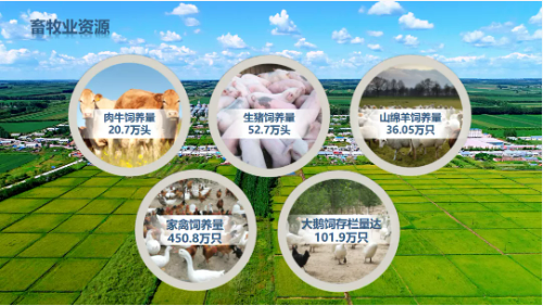 集團全力助推黑龍江齊齊哈爾拜泉縣委托招商引資，立足資源優(yōu)勢，開辟產(chǎn)業(yè)集群高質量發(fā)展新高地