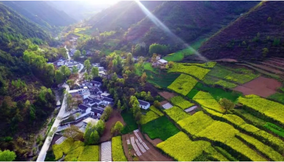 集團(tuán)全力助推甘肅隴南康縣委托招商引資，以綠色發(fā)展推動(dòng)鄉(xiāng)村振興