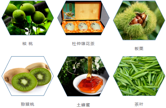 集團(tuán)全力助推甘肅隴南康縣委托招商引資，以綠色發(fā)展推動(dòng)鄉(xiāng)村振興