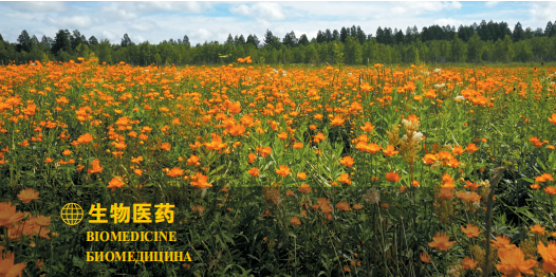 集團(tuán)全力助推黑龍江大興安嶺委托招商引資，聚力將“冷資源”轉(zhuǎn)化為“熱經(jīng)濟(jì)”！