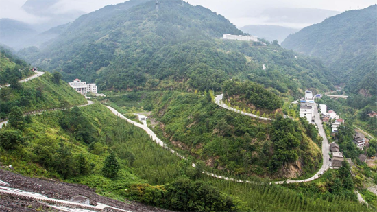 集團(tuán)全力助推甘肅隴南武都區(qū)委托招商引資，將地域資源優(yōu)勢轉(zhuǎn)化為經(jīng)濟(jì)發(fā)展新動能