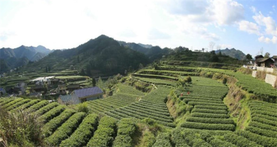 集團全力助推湖南吉首市委托招商招商引資，打造產(chǎn)業(yè)發(fā)展新地標
