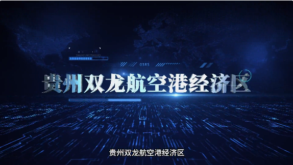 集團(tuán)全力助推貴州雙龍航空港經(jīng)濟(jì)區(qū)委托招商引資，搶占發(fā)展先機(jī)，打造開(kāi)放經(jīng)濟(jì)新高地