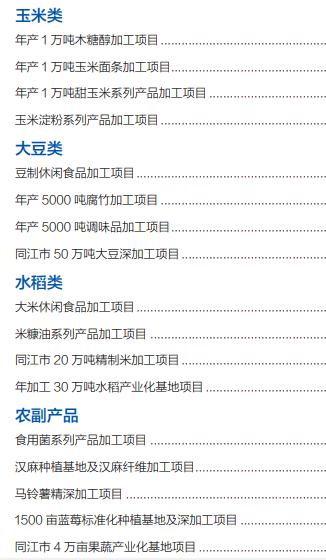 集團全力助推黑龍江省同江市委托招商引資，充分挖掘開發(fā)潛能，再次綻放邊陲魅力