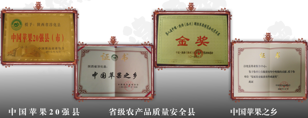 集團全力助推陜西淳化縣委托招商引資，激發(fā)產(chǎn)業(yè)新活力，培育發(fā)展新動能！