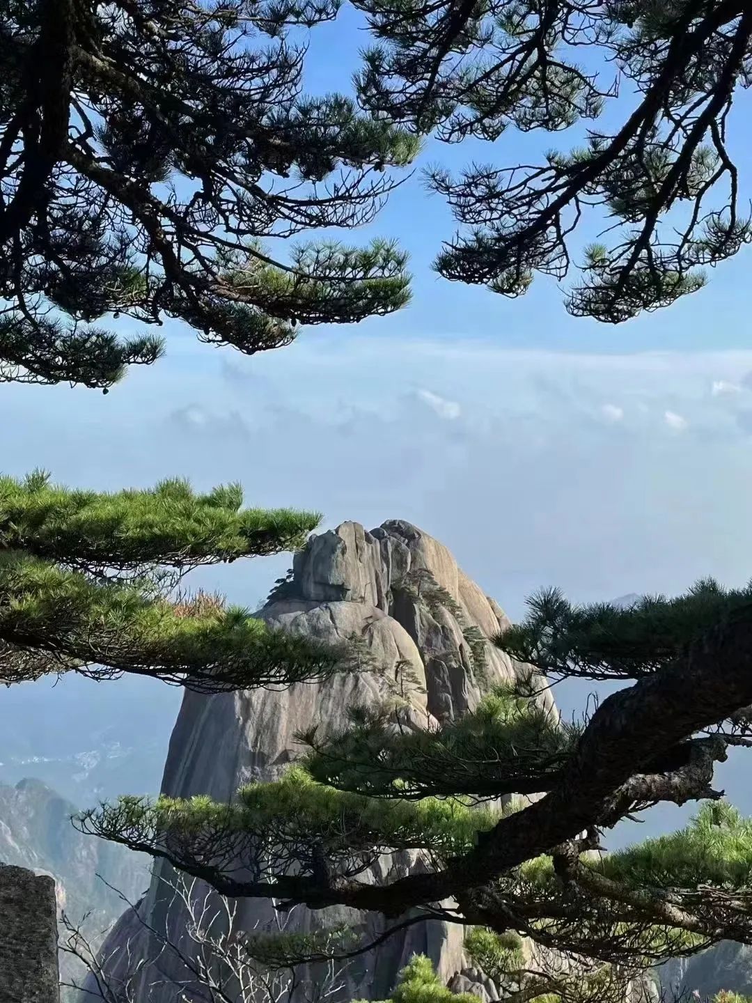 東方龍商務(wù)與春天有個約會！集團100余人赴安徽黃山“團建”，太嗨了！“奔跑二季度”——我們準備好了！