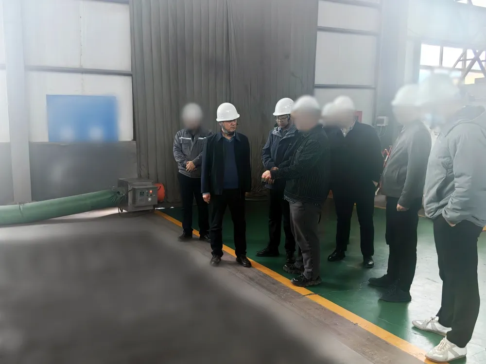 高新技術(shù)企業(yè)，超百項專利技術(shù)！甘肅某地方政府實地對接復雜難選金屬礦高效開發(fā)利用投資選址項目