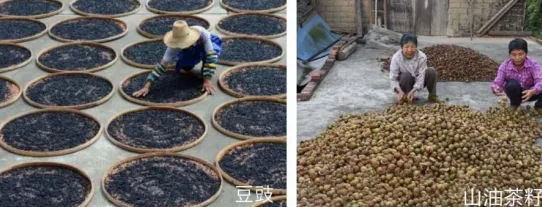集團(tuán)全力助推廣西賀州昭平縣委托招商引資，助力產(chǎn)業(yè)蝶變升級(jí)！