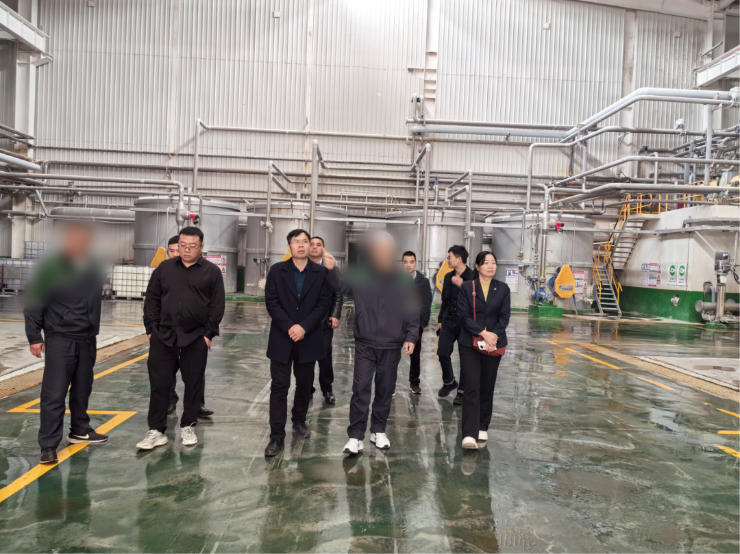省著名商標企業(yè)，地方造紙龍頭企業(yè)！廣西某地方政府實地對接品牌紙制品擴建投資選址項目